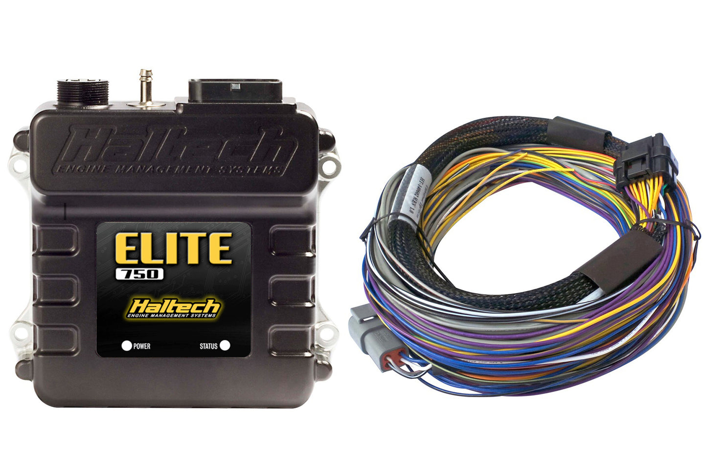 Haltech HT-150602 Elite 750 + Basic Universal Wire-in Harness Kit